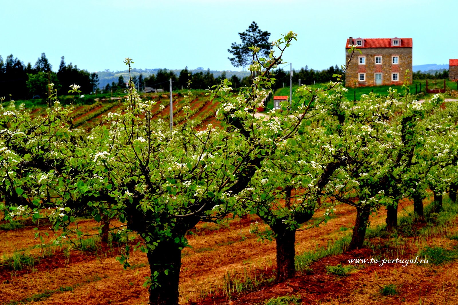 весна в Португалии