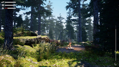 Before Nightfall Summertime Game Screenshot 1
