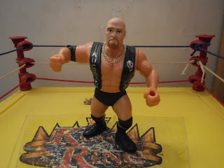 WWF Hasbro CUSTOM Stonecold Steve Austin action figure