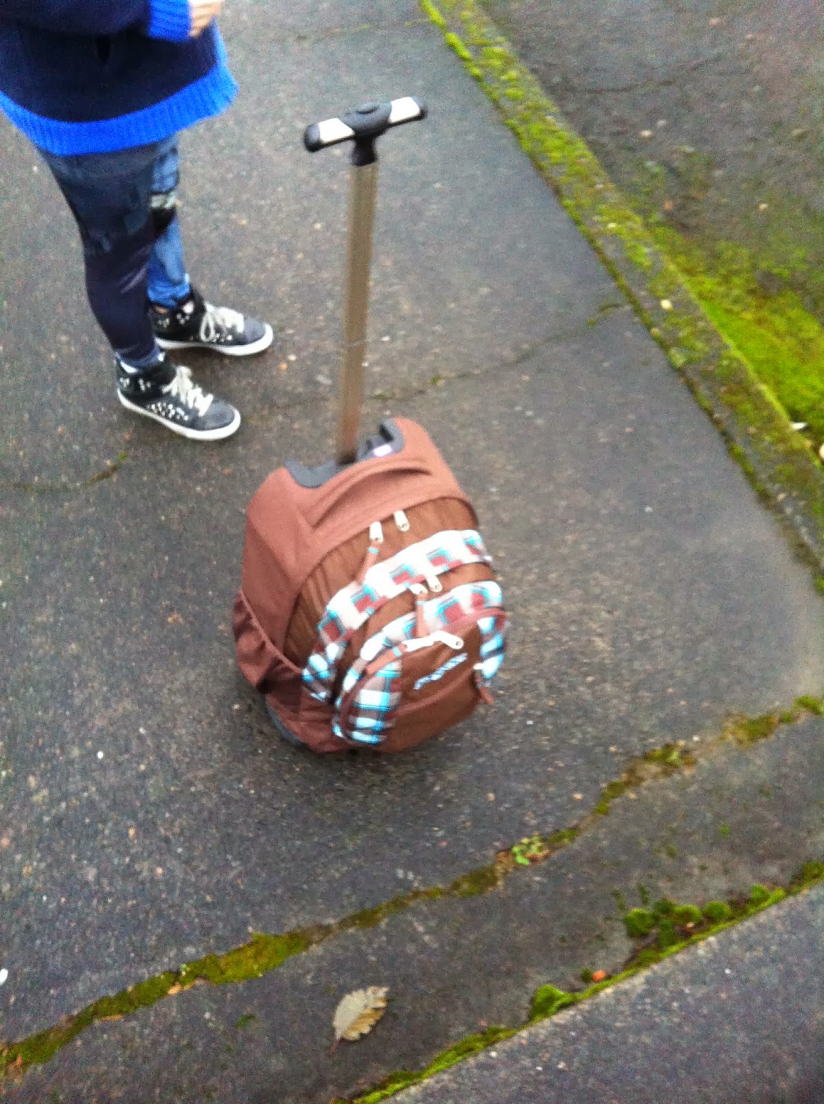 Portdaddia The Kid's Backpack Weighs a Ton Glad It's On Wheels For