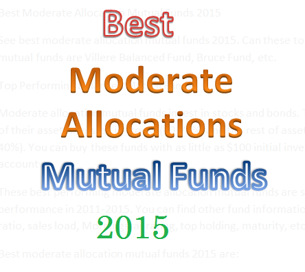 Best Moderate Allocation Mutual Funds 2015