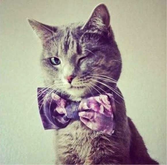 acid_picdump_45.jpg
