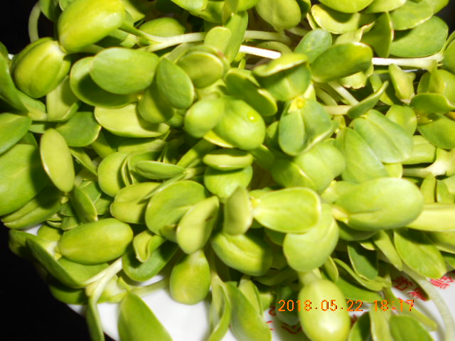 ����,����l,�g�A�V�鸪�ؤl,�V�鸪��Ϥ�,�V�鸪��,�V�鸪,�V�鸪�l,�V�鸪�ؤl,���L�Q�V�鸪�ؤl,�V�鸪��ؤl