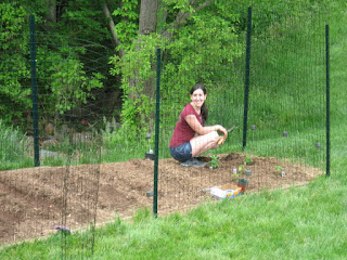 At the Lamppost: How to Keep Deer out of Your Garden