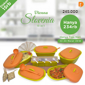 Vienna Slovenia Set of 13 in 1