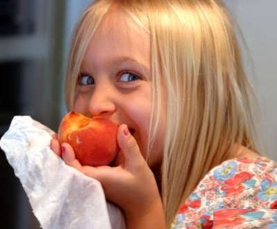 بالصور 10 اساطير حقيقية حول الأغذية