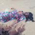 Herdsmen Attack Christians In Kaduna On Eve Of Easter, Killing More Than 12 - Graphic Pics