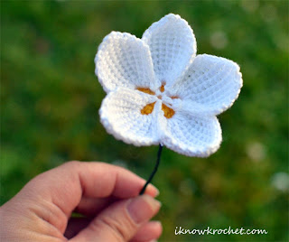 completed crochet plumeria flower