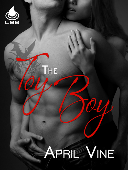 sex toy boy toy Sex toy boy toy