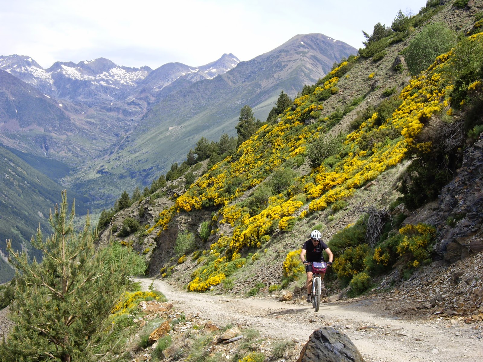 pedals de foc. 3ª etapa.Espui Valencia D´aneu