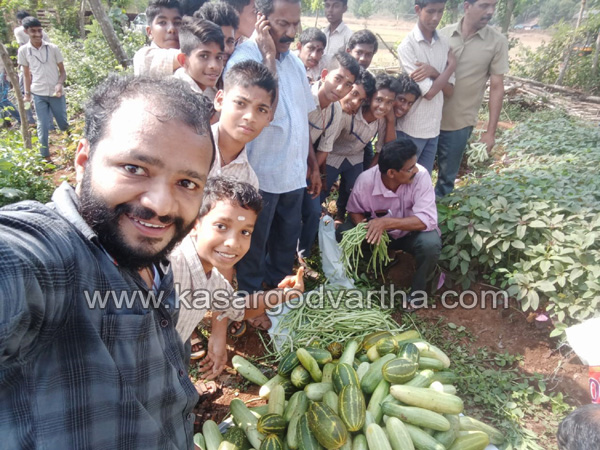 Students sow on the farm in school, Karinthalam, news, Kasaragod, Farming, Students, Agriculture, Vegetable, Kerala