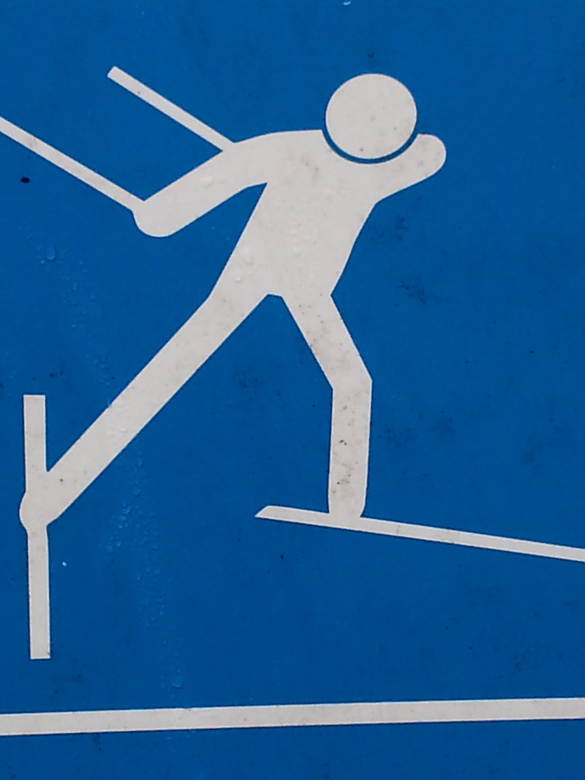 AKTIVTRAINING Personal Training / Skilanglauf / Nordschwarzwald