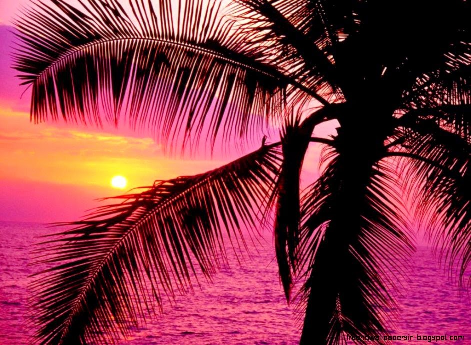 Girly Desktop Backgrounds  Girly Backgrounds 747   HD Desktop