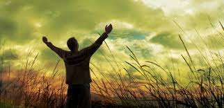 download%2B%252811%2529