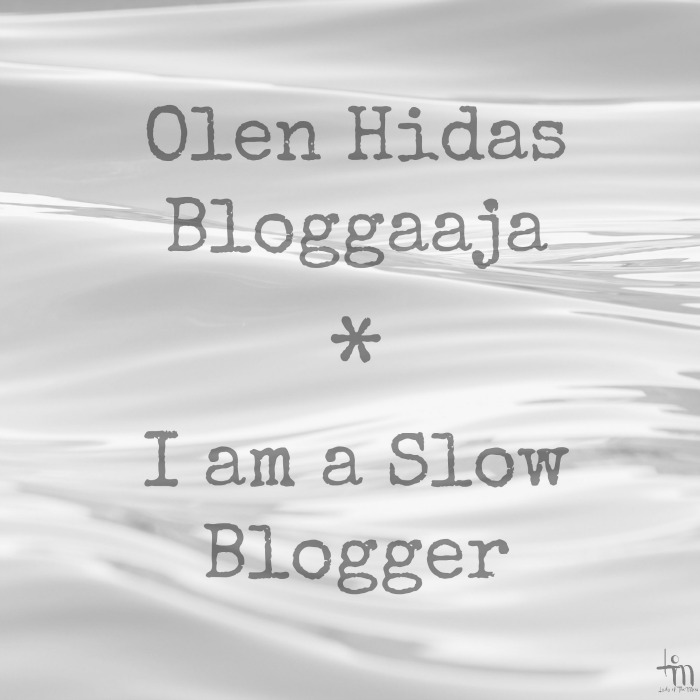 Olen hidas Bloggaaja