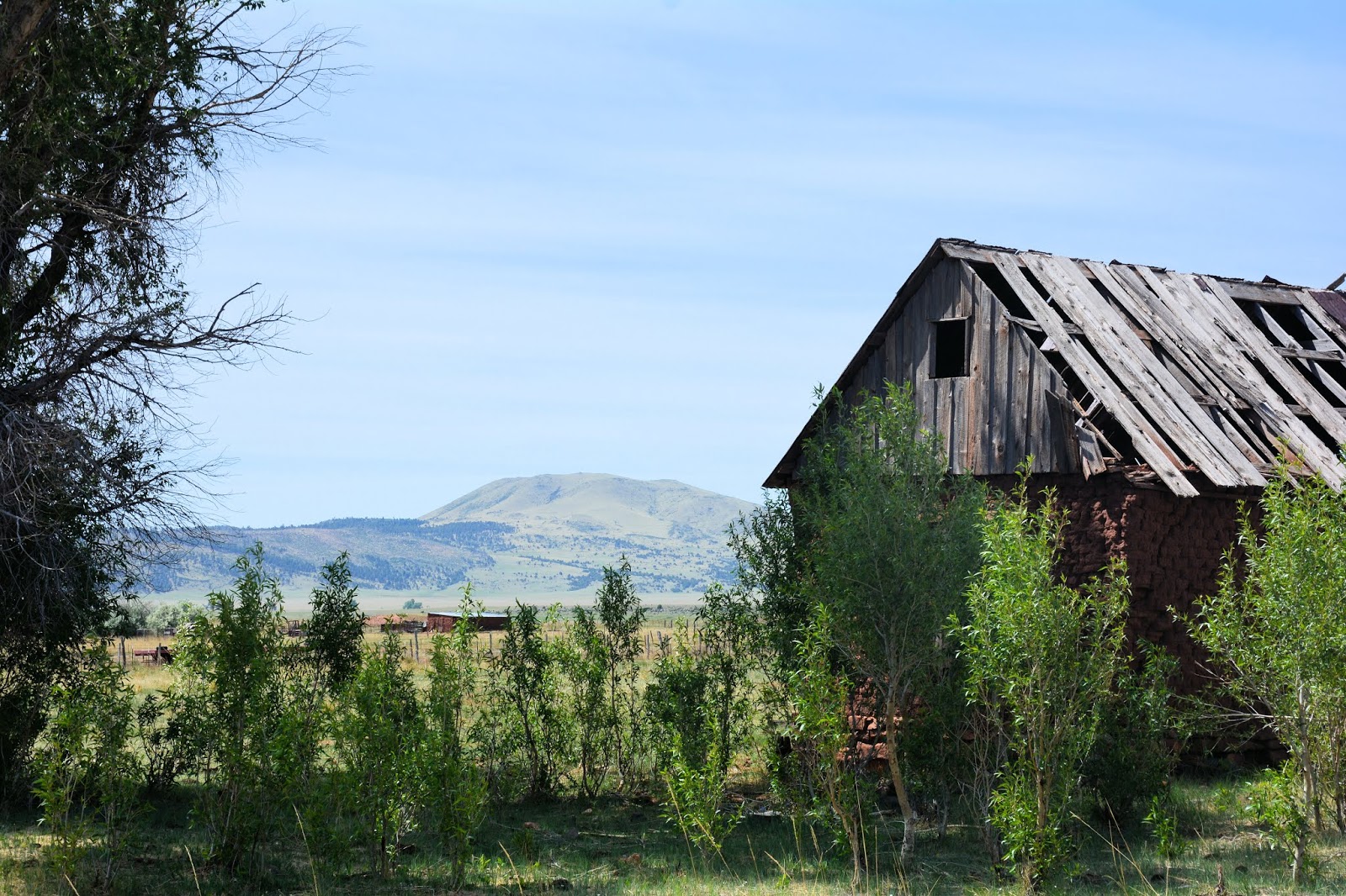 Revealed Truth on the Road to Wagon Mound