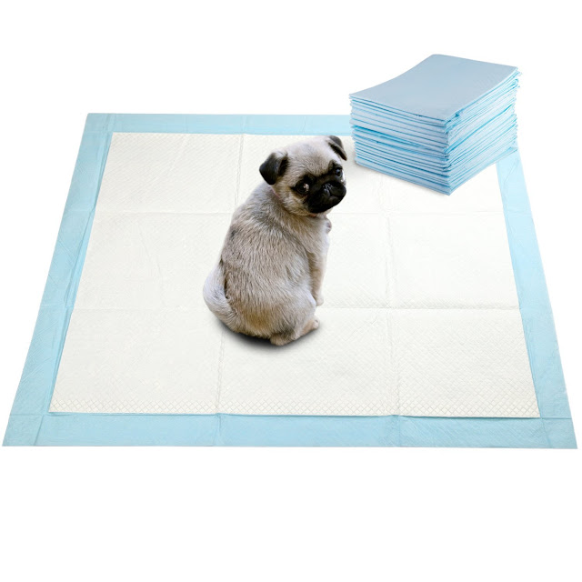 Guidelines on How to Train a Dog Using a Dog Training Pad Doglopedix