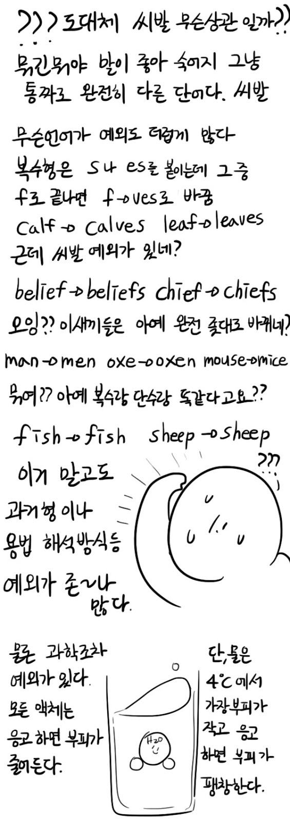1_06.jpg