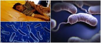 Pandemia de cólera se cierne sobre África tras el paso del Ciclón Idai Pandemia de cólera se cierne sobre África tras el paso del Ciclón Idai