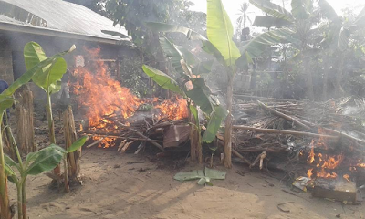 2b Photos: Ogoni youths destroy marijuana smoking joints in their community