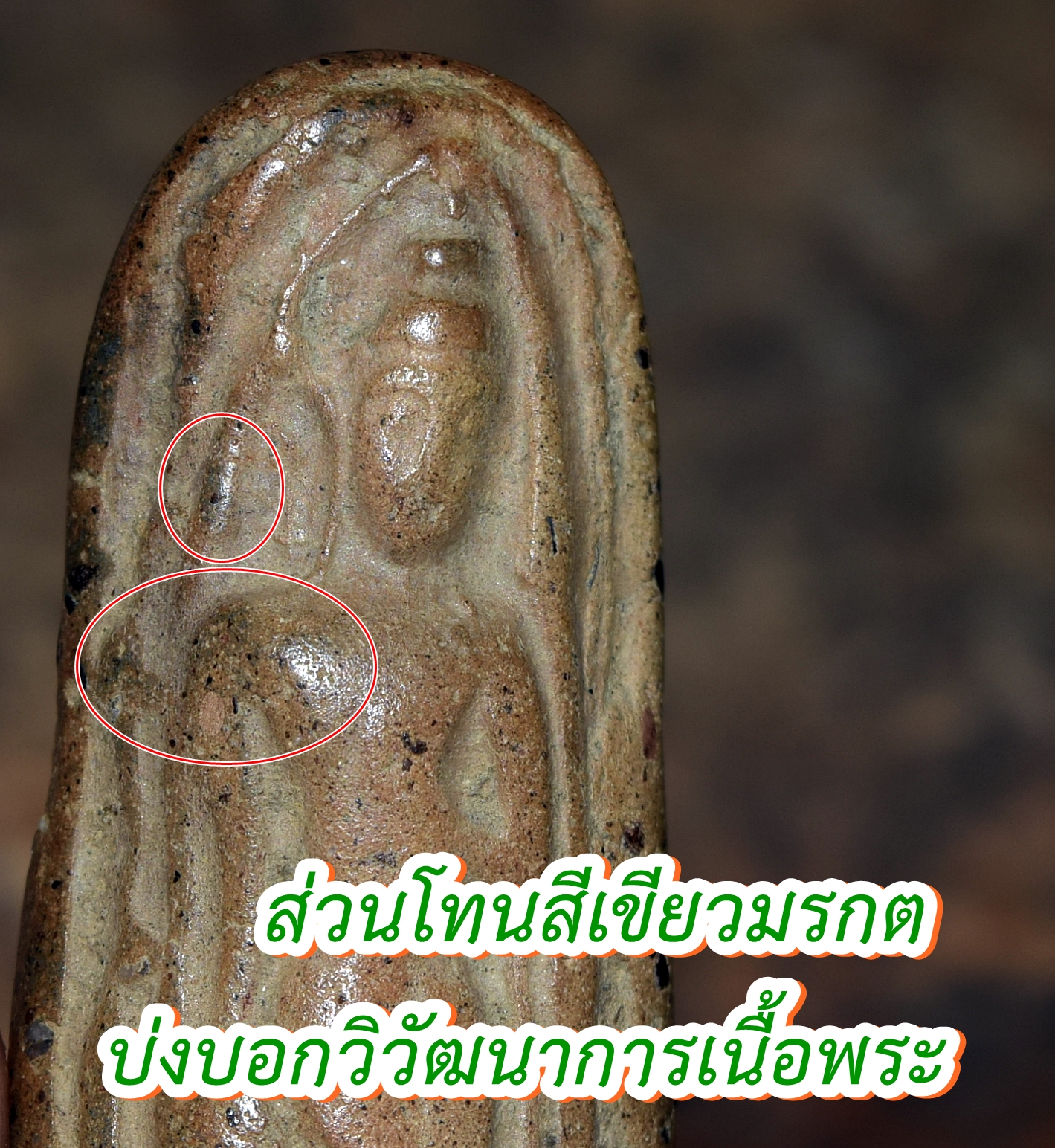 My Image 43
