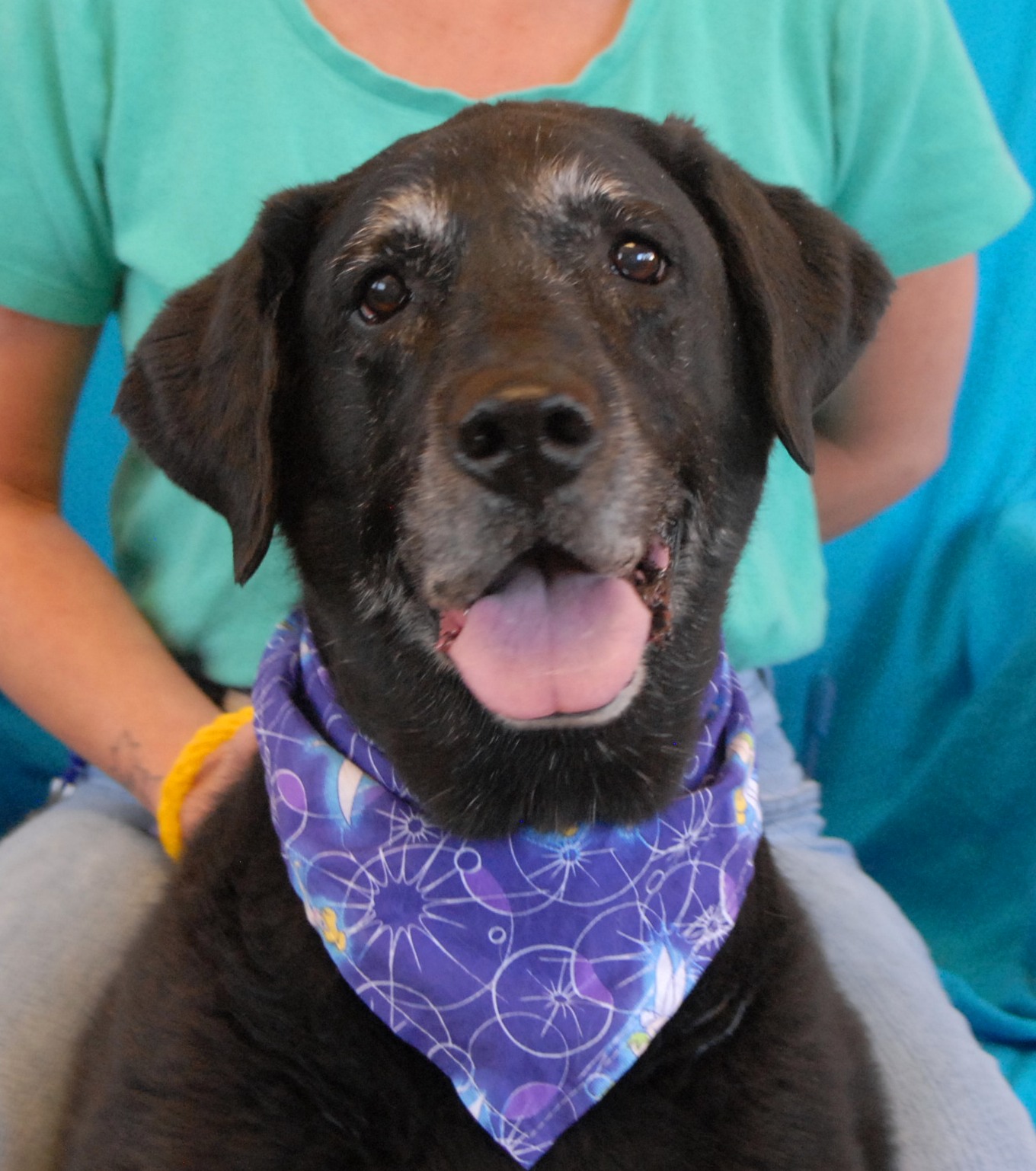 I trusted and depended on him, but he threw me away for being old.