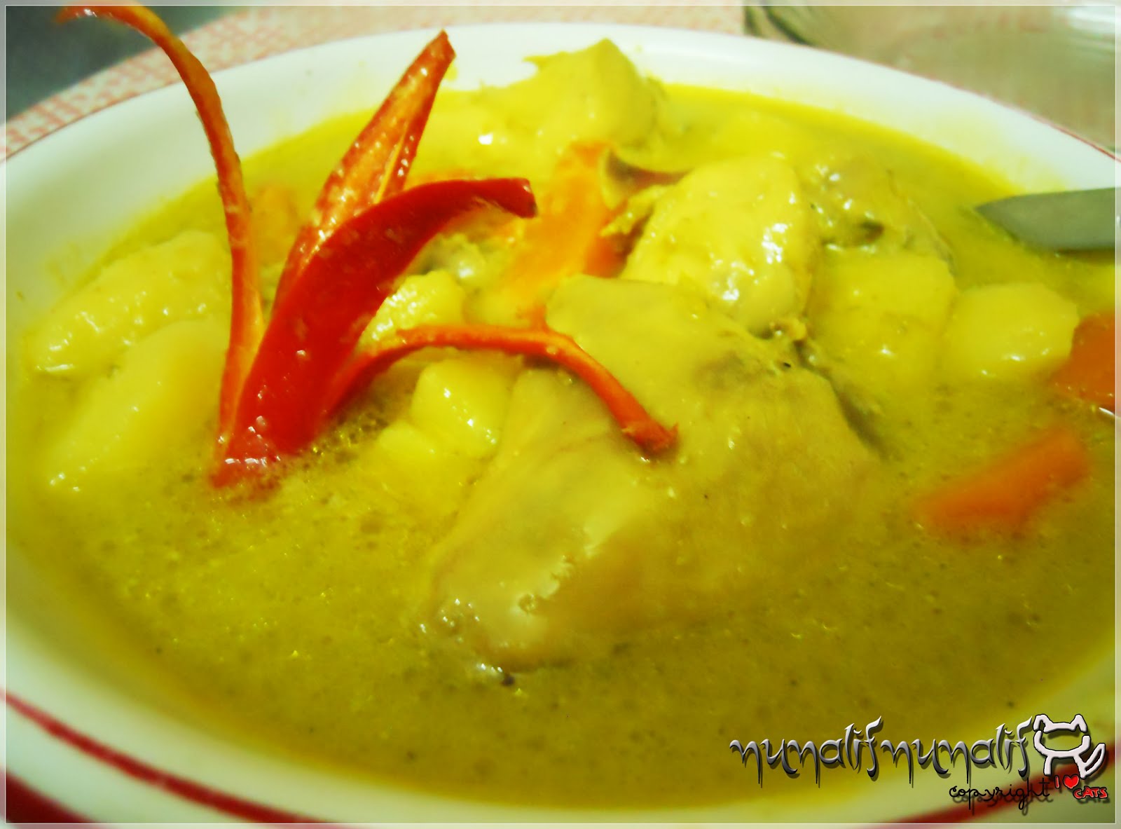 NunAlifNunAlif Resipi 9  Ayam masak lemak cili api