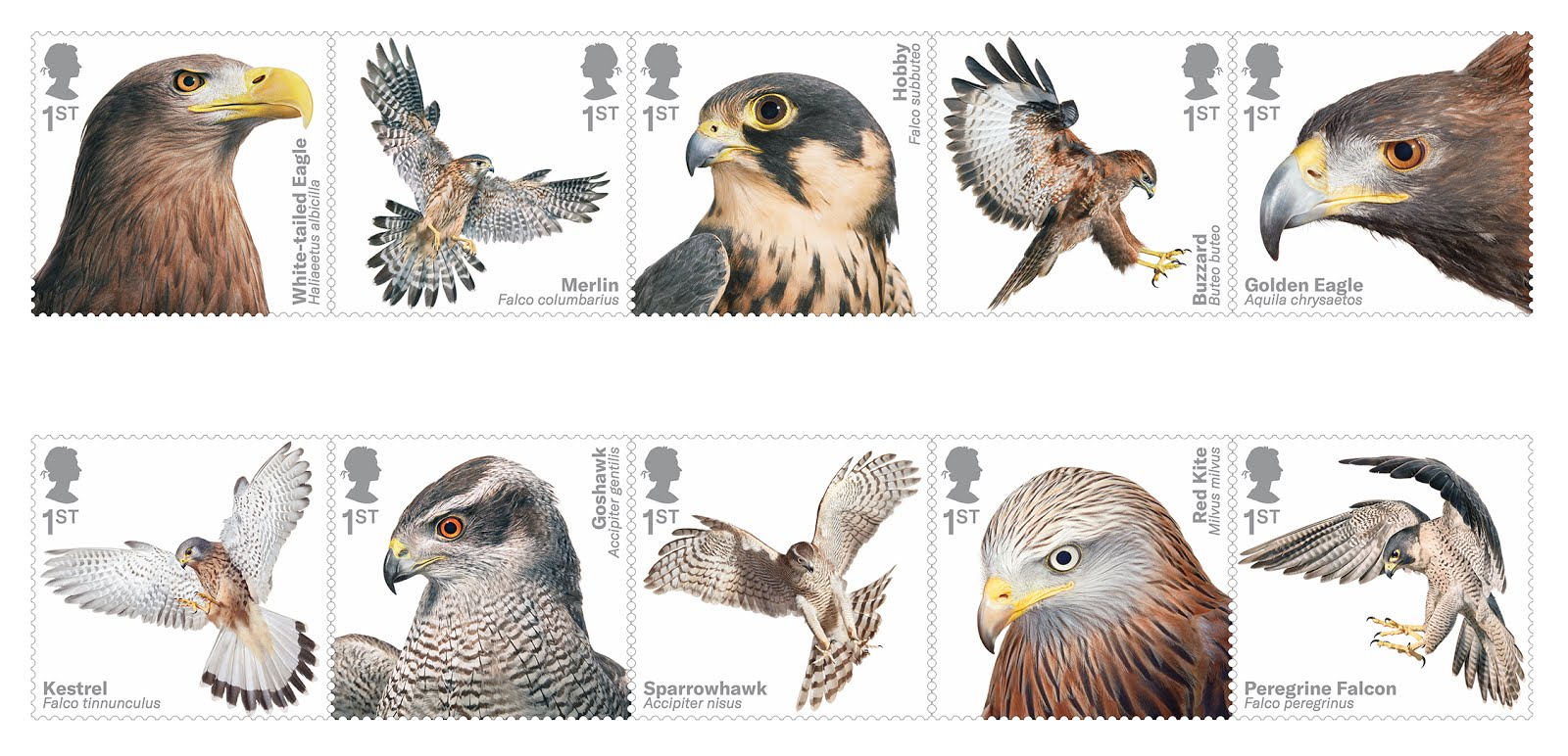 Norvic Philatelics Blog Birds Of Prey Stamps 4 April 2019