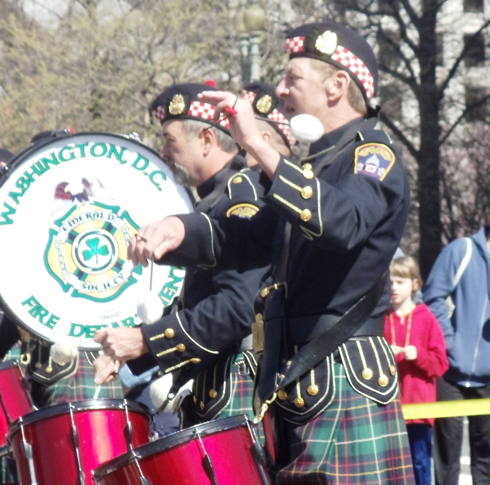 Cultural and ethnic festivals in the Washington DC area (2016) Things