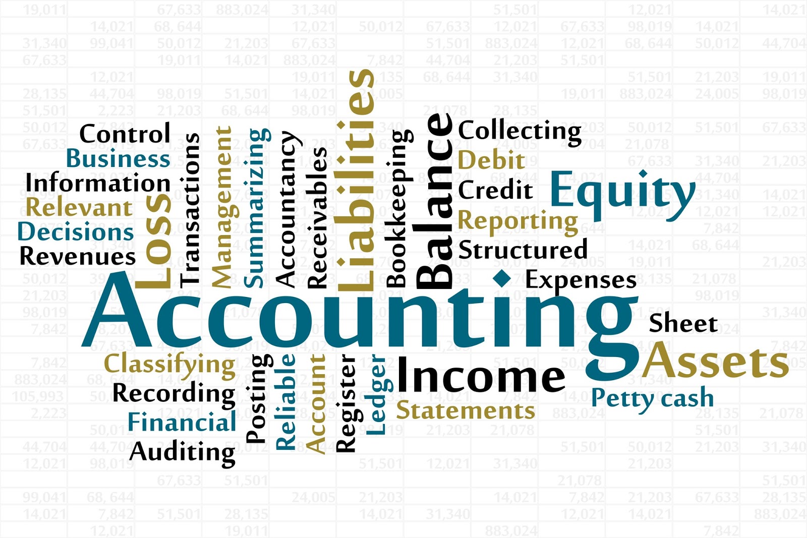 functions-of-accounting-business-consi