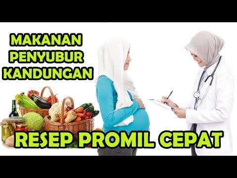 Rekomendasi Makanan Penyubur Kandungan Agar Cepat Hamil Rekomendasi Makanan Penyubur Kandungan Agar Cepat Hamil