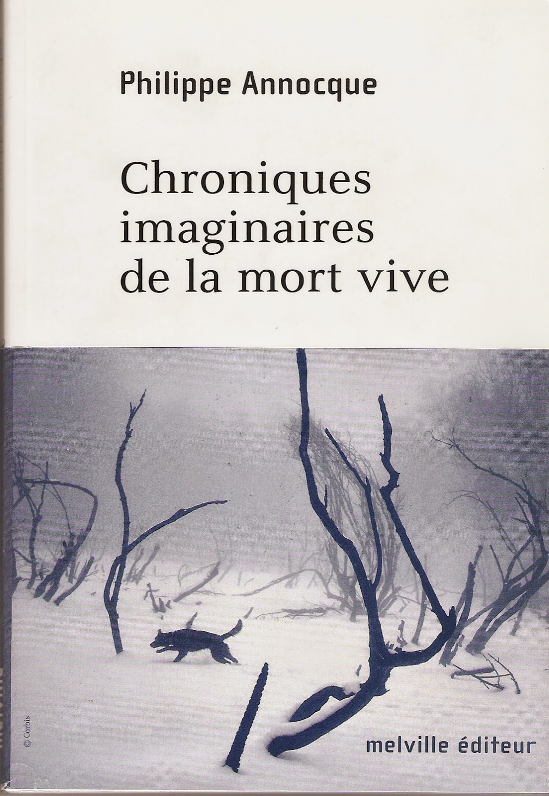 Chroniques imaginaires de la mort vive, Melville éd., 2005.