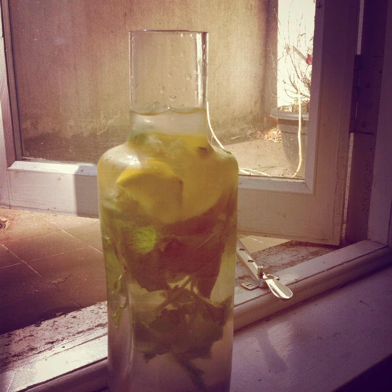 The Veggie Tomatophobe Diabetic Friendly Lemonade