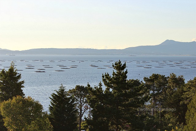 bateas-de-ogrove-ruta-xacobea-del-mar-de-arousa