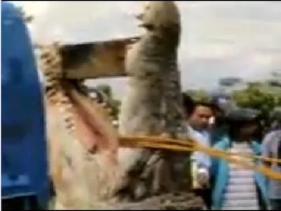 http://3.bp.blogspot.com/-NmUiYp-Wk1k/ThPmWWDgGWI/AAAAAAAAA70/oYdqK1G3I7c/s1600/dsf.JPG