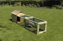 broody coop coops fancy chicken hens flyte chickens