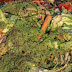 How To Make And Use Your Own Compost For The Garden