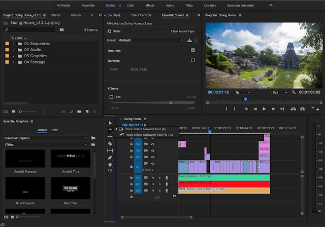 Adobe Premiere Pro CC 2017 Adobe Premiere Pro CC 2017