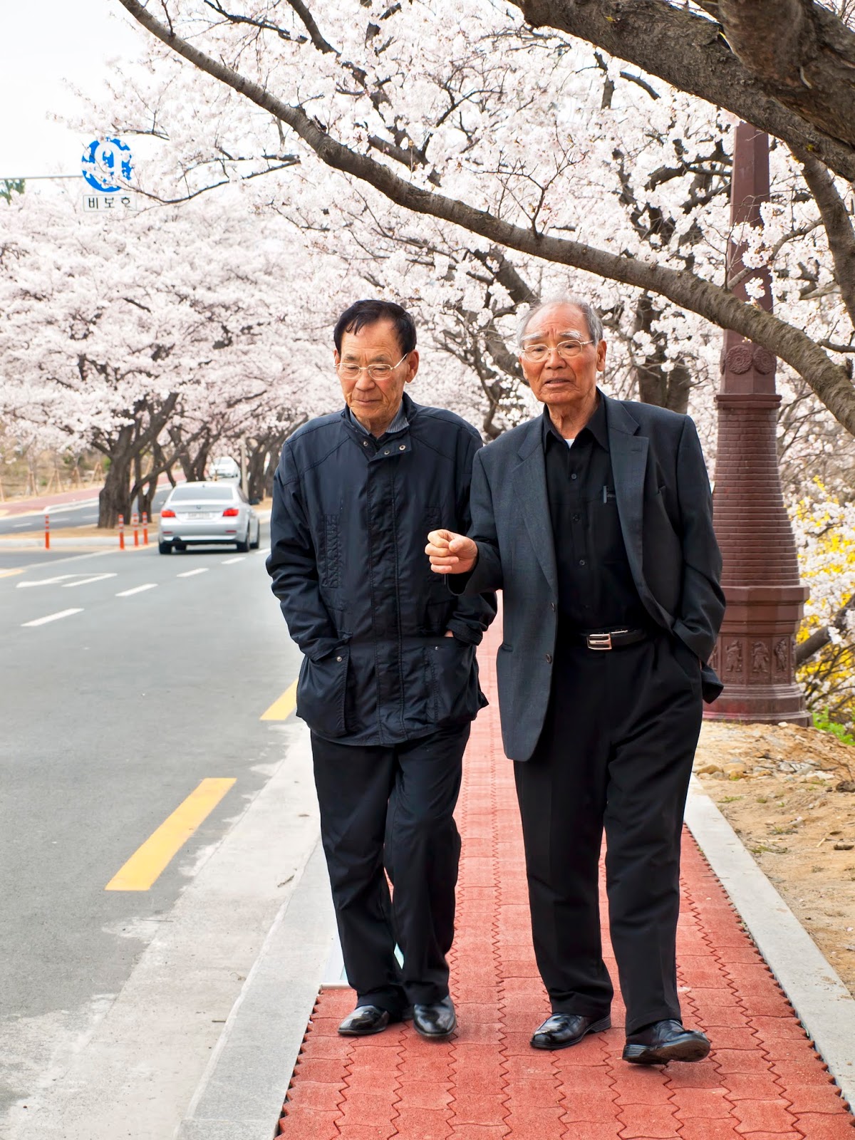GeroInspired On Korea's Aging Population and the Importance of Arts