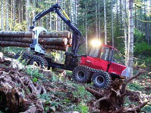 Resultado de imagen para la nueva maquina de deforestacion