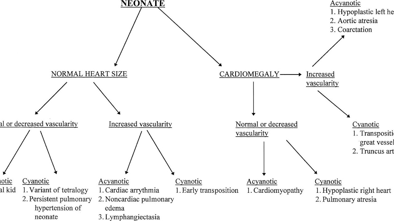 Congenital Heart Defects Chart
