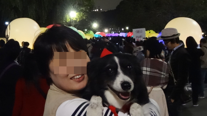 びっくり tokyo Tokyo びっくり