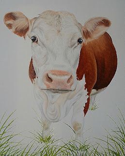 Pet Portrait Hereford Cow Cattle Oil Painting on canvas