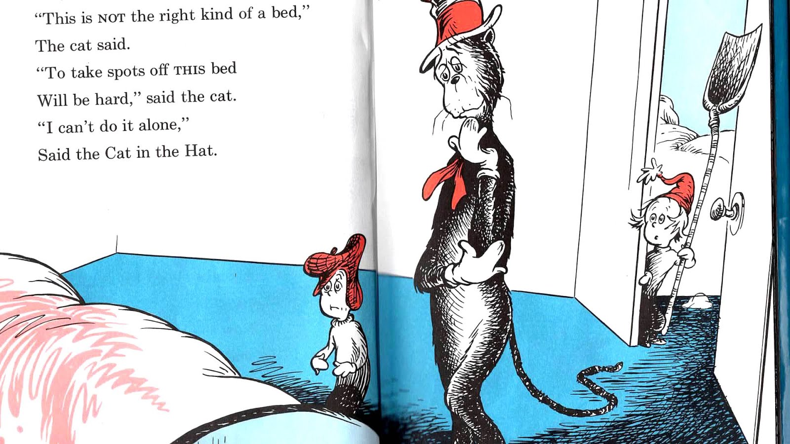 Dr Seuss Books Cat In The Hat - Cat Choices