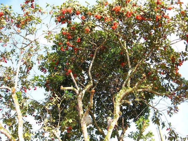 Jangan Sembarangan, Jual Beli Menjadi Haram Jika Melakukan Hal ini Jangan Sembarangan, Jual Beli Menjadi Haram Jika Melakukan Hal ini