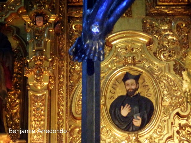 El Señor del Hospital: El Señor del Veneno, el Cristo Negro de la ...