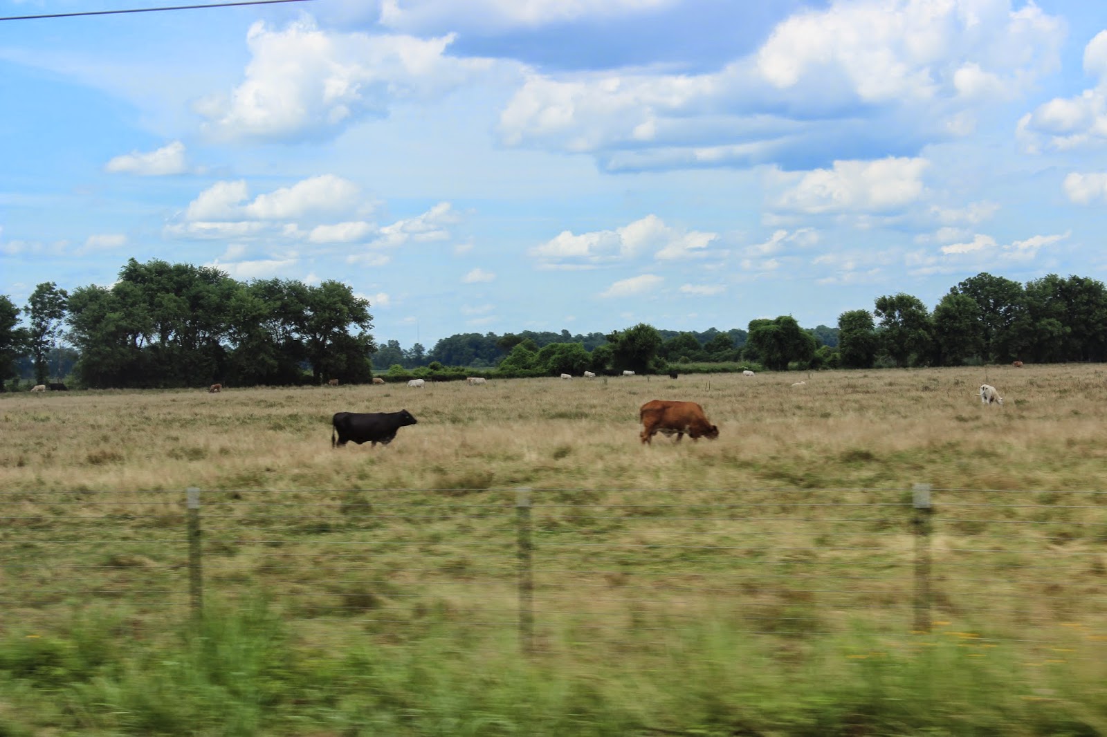 And So it Goes in Shreveport Take a Trip to Coushatta, See the