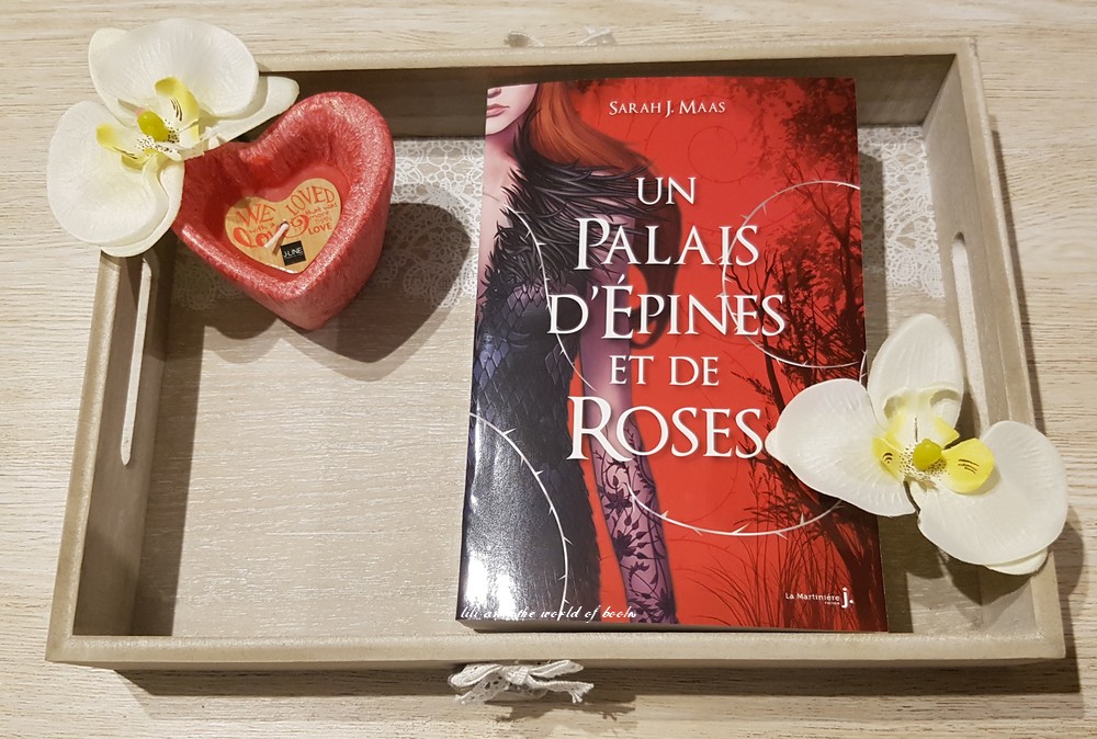 Lili & the world of books Un Palais d'Épines et de Roses, Tome 1 Un Palais d'Épines et de Roses Lili & the world of books Un Palais d'Épines et de Roses, Tome 1 Un Palais d'Épines et de Roses