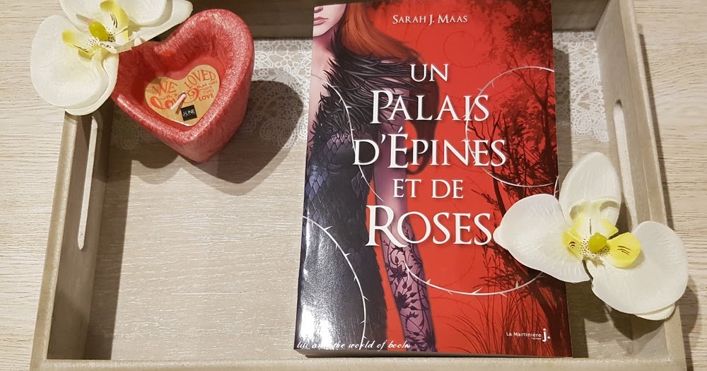 Lili & the world of books: Un Palais d'Épines et de Roses, Tome 1 : Un ...