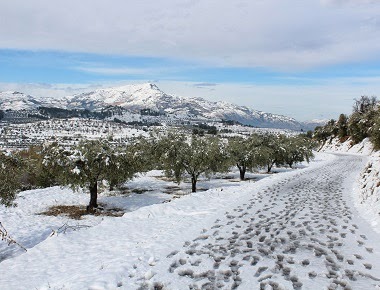 Camí cap al Salt